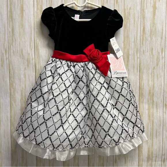 NEW Bonnie Baby Stretch Velvet Organza Dress Size 24 months - Picture 1 of 7
